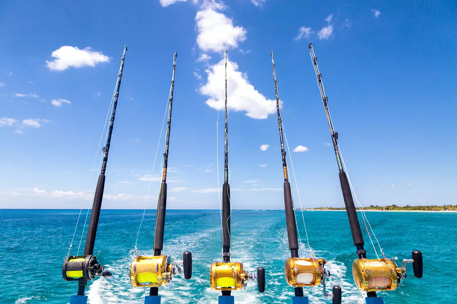 fishing off boat in Florida