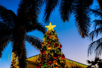 christmas in punta gorda fl