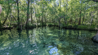 ponce de leon state park