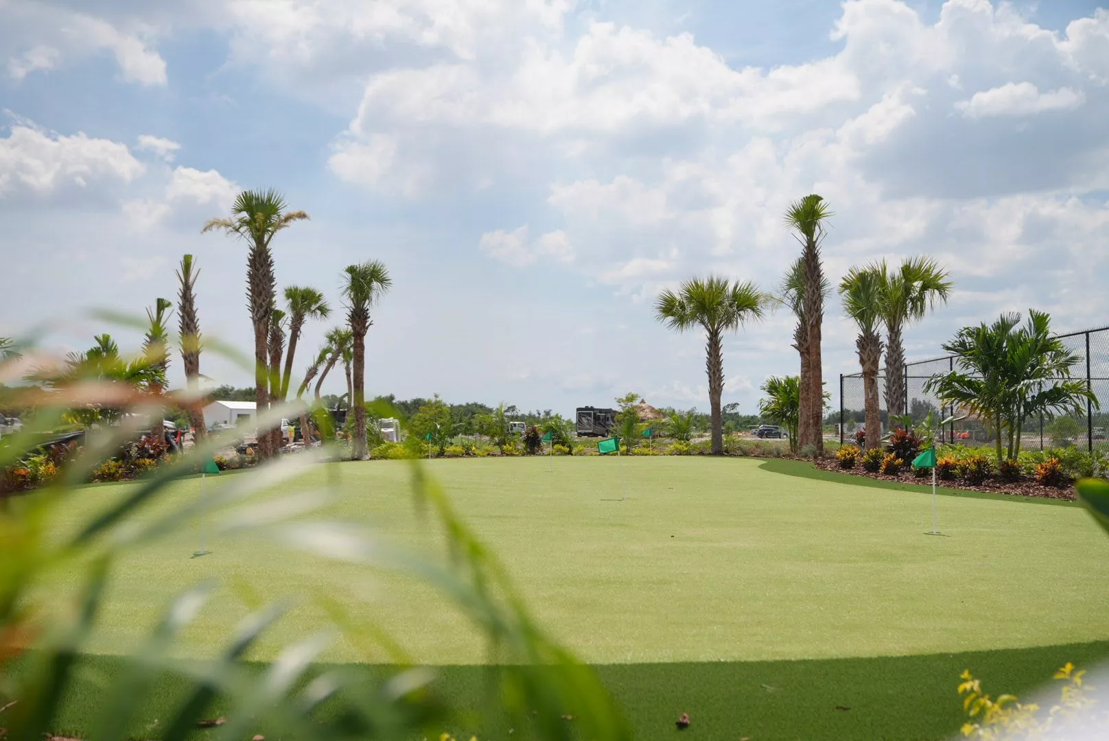 putting green at palm breeze resort